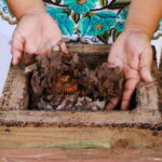 Cozumel: Ultimate Combo: Mayan Ruins, Bee Farm & Snorkeling - A Closer Look at What You Can Expect