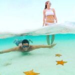 Cozumel Underwater Wonders: El Cielo Sandbar & Reef Snorkeling - Is This Tour Worth It?
