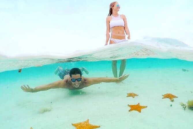 Cozumel Underwater Wonders: El Cielo Sandbar & Reef Snorkeling - Is This Tour Worth It?