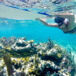 Cozumel: West Coast E-Bike and Snorkeling Tour - Is It Worth the Price?
