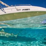 Crazyseahorseborabora Comfortable boat , sensational snorkeling . - What to Expect on the Day
