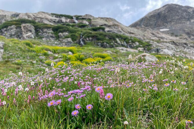 Crested Butte via Cottonwood Pass Private Colorado Adventure Tour - What Does the Cost Cover?