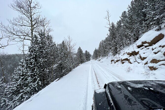Cripple Creek Back Country Jeep Tour - What Travelers Are Saying (Based on Reviews)