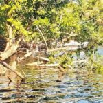 Croc´s & Turtle Aquarium - Who Will Love This Tour?