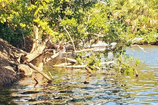 Croc´s & Turtle Aquarium - Who Will Love This Tour?