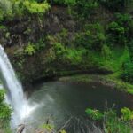 Crossing Over Tahiti Island Safari 4x4 - Final Thoughts