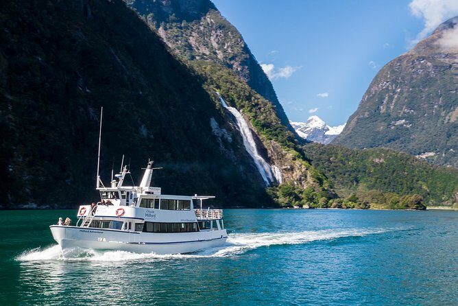 Cruise Milford NZ Small Boutique Cruise Experience - Who Will Love This Tour?