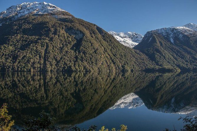 Cruise Milford Small Group Day Tour from Queenstown - Who Should Consider This Tour?