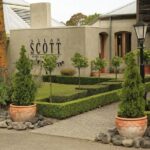 CRUISE SHIP DAY Marlborough Hop On Hop Off Wine Tours - How the Tour Runs in Practice