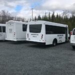 Cruise Ship Shore Excursion - Who Should Consider This Tour?