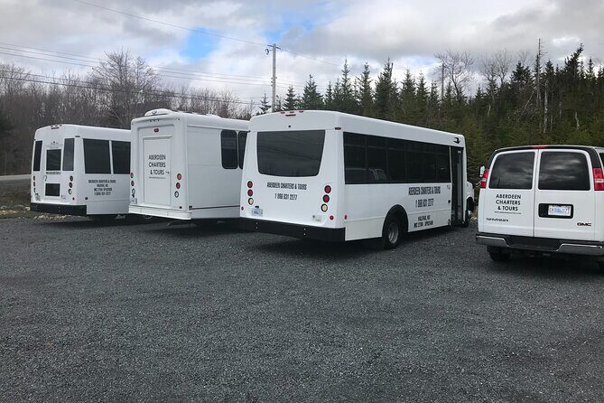 Cruise Ship Shore Excursion - Who Should Consider This Tour?