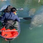 Crystal River: Clear Kayak Manatee Eco Tour (Free Photo Package) - Who Should Consider This Tour?