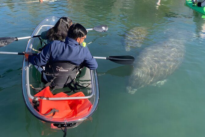 Crystal River: Clear Kayak Manatee Eco Tour (Free Photo Package) - Who Should Consider This Tour?