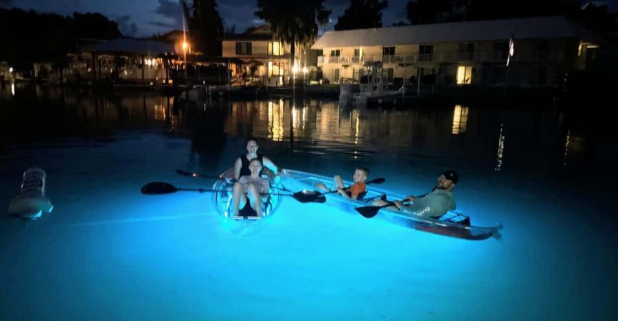 Crystal River Clear Kayak Sunset & Night Glow Tour - The Guides and Group Size