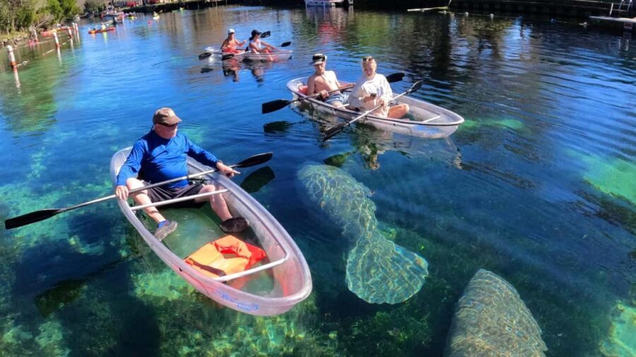 Crystal River: Clear Kayak Sunset & Night Glow Tour - FAQs