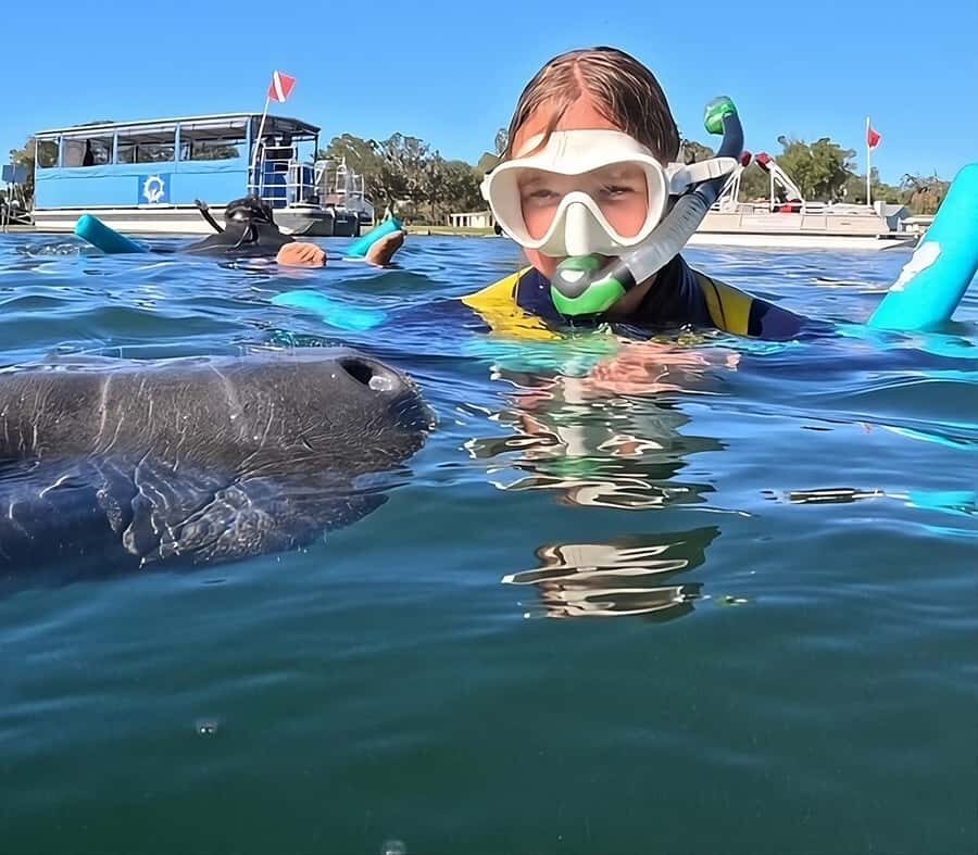 Crystal River: Guided Manatee Snorkeling Tour with Photos - The Value of the Tour
