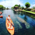Crystal River: Kayak Rental - The Sum Up