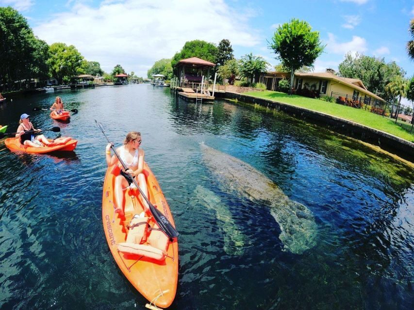 Crystal River: Kayak Rental - The Sum Up