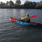 Crystal River Kayak RentalThree Sisters Springs & Manatee Refuge - Final Thoughts: Is This Kayak Tour Worth It?