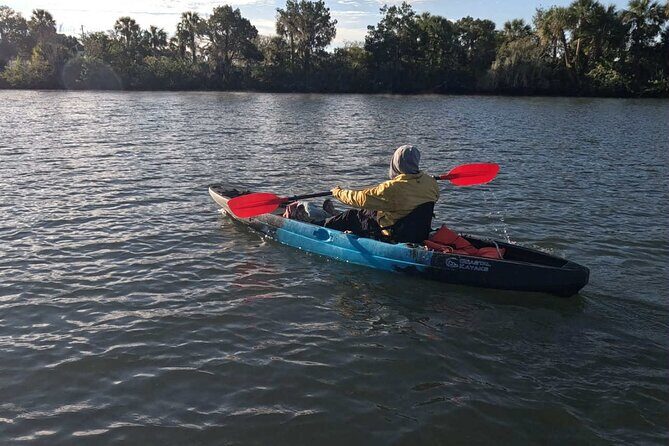 Crystal River Kayak RentalThree Sisters Springs & Manatee Refuge - Final Thoughts: Is This Kayak Tour Worth It?