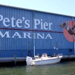 Crystal River: Manatee Viewing Cruise - The Value of the Experience