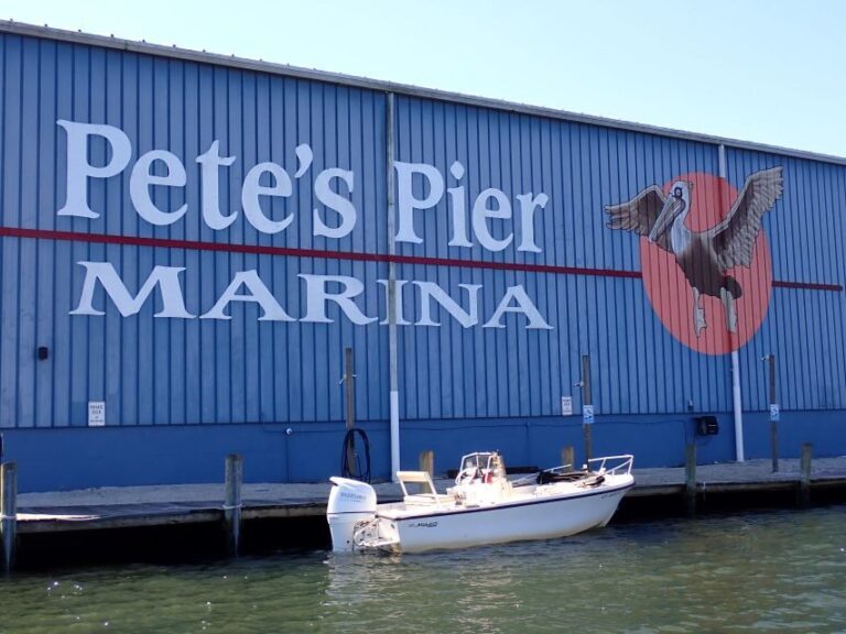 Crystal River: Manatee Viewing Cruise - The Value of the Experience