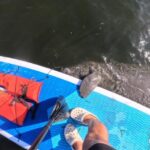 Crystal River: Paddle Board Rental - The Gear and Logistics
