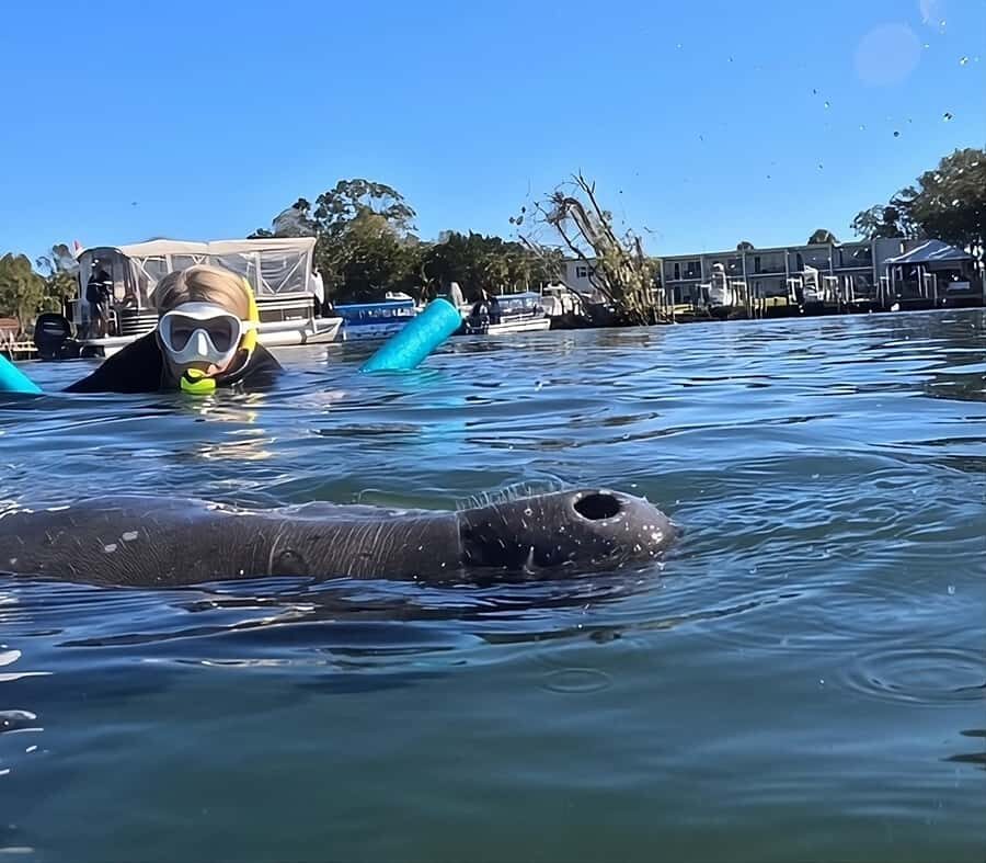 Crystal River: Swim with Manatees Private Tour Free Photos - Practical Details & Considerations