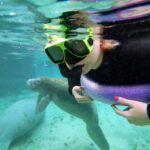 Crystal River: VIP Manatee Swim w/ In-water Photographer - The Experience Value and Considerations
