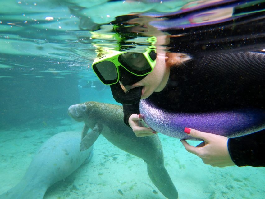 Crystal River: VIP Manatee Swim w/ In-water Photographer - The Experience Value and Considerations