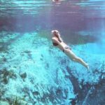 Crystal River:Three Sisters Springs Guided Kayak & Swim Tour - Practical Tips for a Smooth Experience