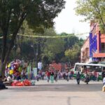 CU-Coyoacán and Xochimilco; Enjoy the Southern Colors of the CDMX - Authentic Insights from Past Travelers
