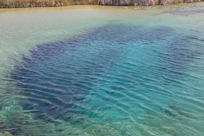 Cuatro Cienegas magic town from Monterrey - A Closer Look at the Tour Experience