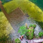 Cultural Adventure at Chichen Itza Classic Tour! From Playa Del Carmen - The Experience in Perspective