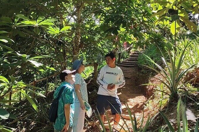 Cultural Immersion in Cacao and Coffee in the Southern Sierra of Oaxaca - FAQs