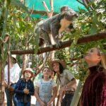 Currumbin Wildlife Sanctuary General Entry Ticket - The Day-to-Day Experience