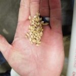 Custom Arizona Brewery / Vineyard Tour - The Itinerary in Detail