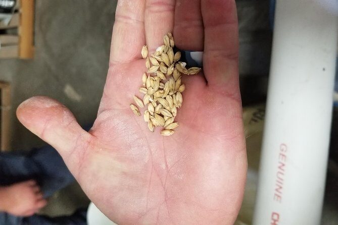 Custom Arizona Brewery / Vineyard Tour - The Itinerary in Detail