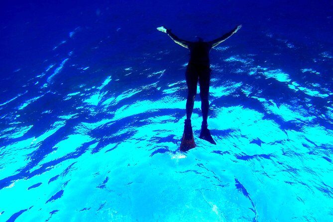 Custom Island Adventure Tours - Is It Worth the Price?