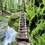 CUSTOM PHOTO ADVENTURES TO THE BAY AREA'S MOST EPIC SCENERY - What You Can Expect on the Day