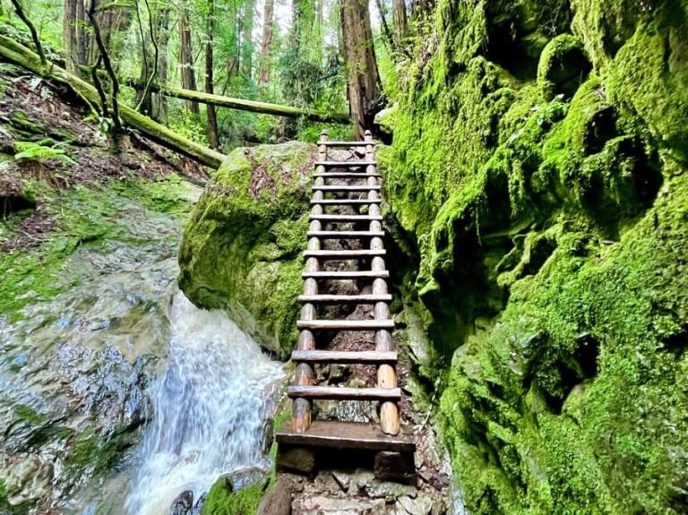 CUSTOM PHOTO ADVENTURES TO THE BAY AREA'S MOST EPIC SCENERY - What You Can Expect on the Day