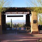 Custom Tucson Day Tour from Phoenix - Frequently Asked Questions