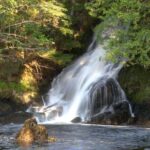 Customizable Private Tour in Ketchikan with Pick Up - Pricing and Value