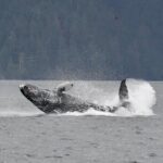 Customizable Private Wildlife Tour - What Travelers Are Saying (Based on Reviews)