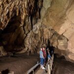 Cutta Cutta Caves Nature Park Guided Tours - What the Reviews Say
