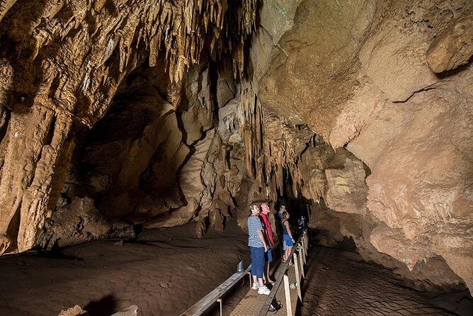 Cutta Cutta Caves Nature Park Guided Tours - What the Reviews Say