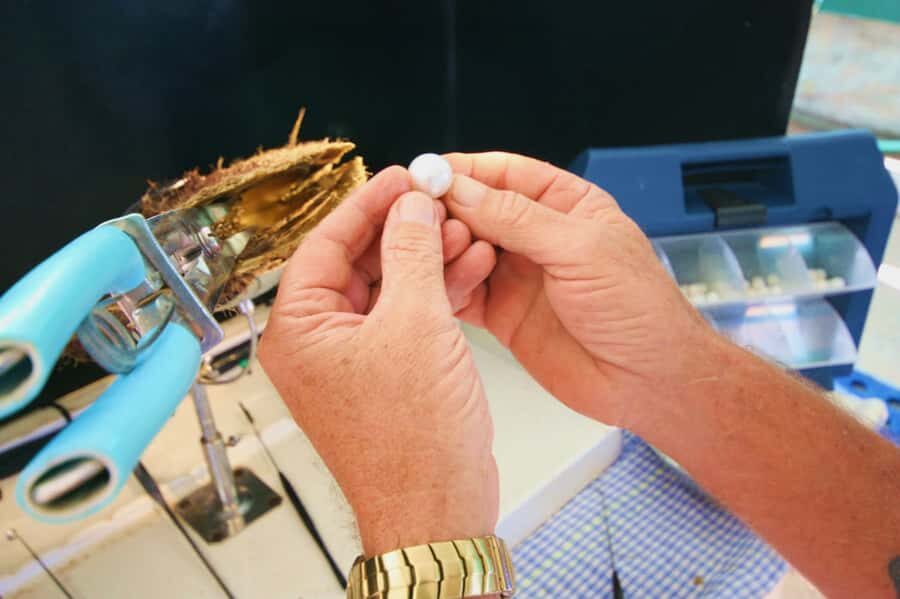 Cygnet Bay Pearl Farm Behind-the-Scenes Tour & Live Harvest - The Scenic Setting and Practical Details