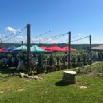 Dahlonega Wine & Dine Private Tour from Atlanta - What’s Included and What’s Not?