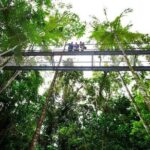 Daintree Discovery Centre Family Pass Ticket - What to Expect at Each Stop