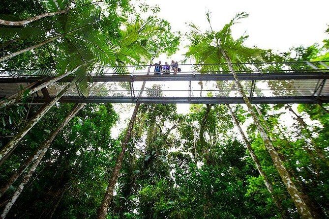 Daintree Discovery Centre Family Pass Ticket - What to Expect at Each Stop